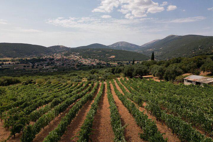 Kefalonia Vineyards